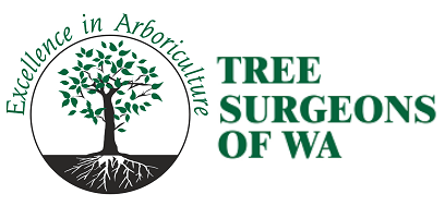 Tree Surgeons of WA